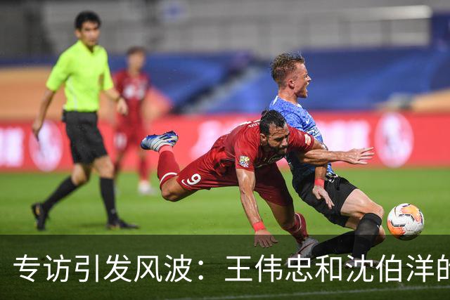 专访引发风波：王伟忠和沈伯洋的"普通"对话