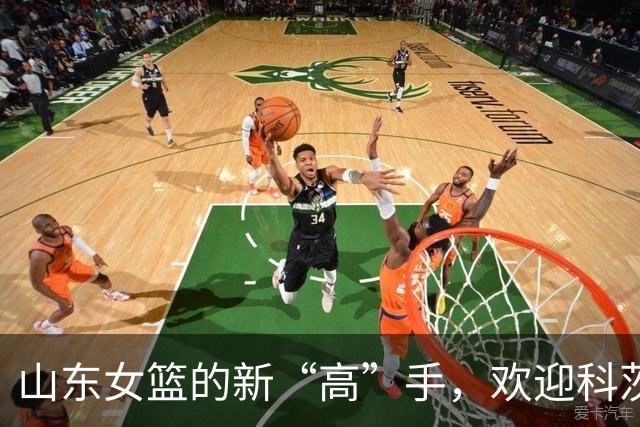 山东女篮的新“高”手，欢迎科茨加入队伍！