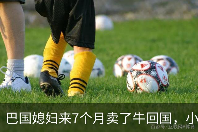 巴国媳妇来7个月卖了牛回国，小涛和河南网红阿阳一样顺从