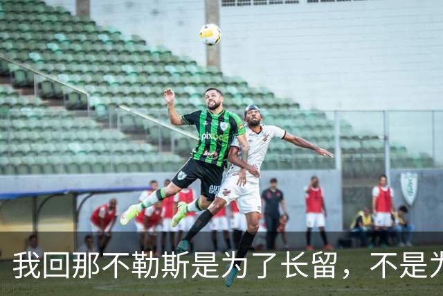 我回那不勒斯是为了长留，不是为了短暂的环游！