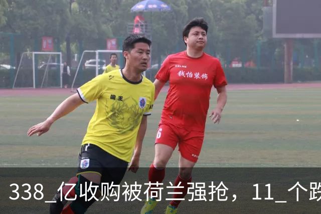 338 亿收购被荷兰强抢，11 个跌停亏 87 亿，闻泰科技坑惨股民